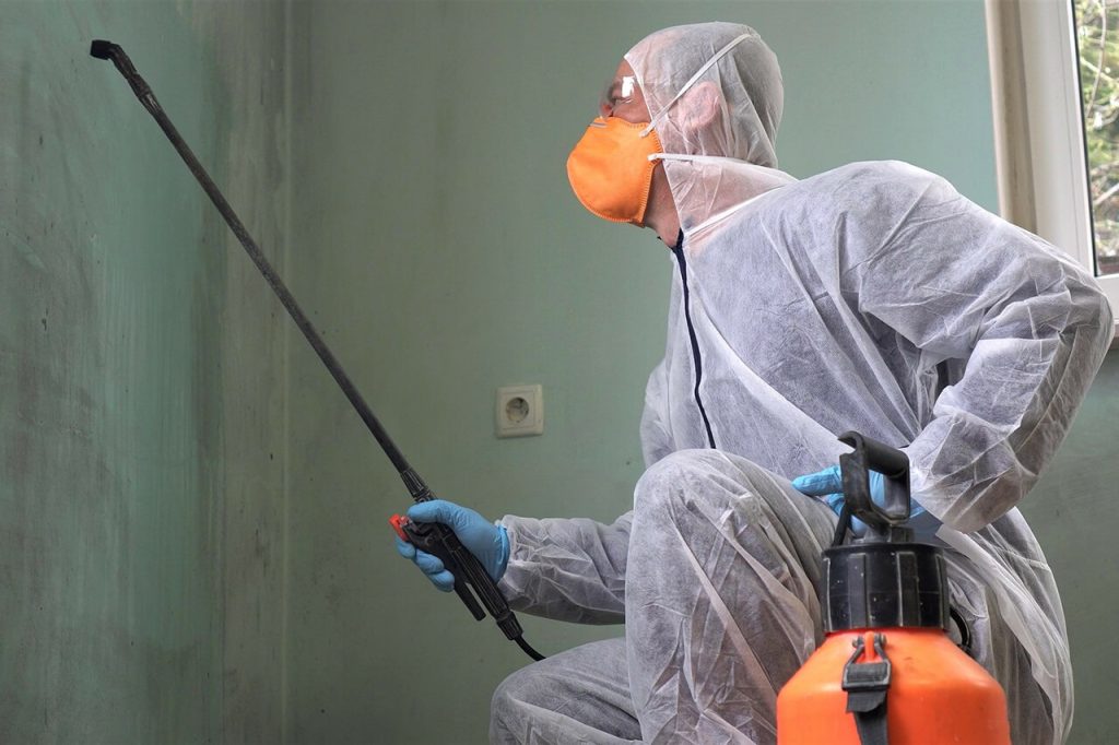 What Products Do Mold Removal in Omaha Professionals Use to Kill Mold?