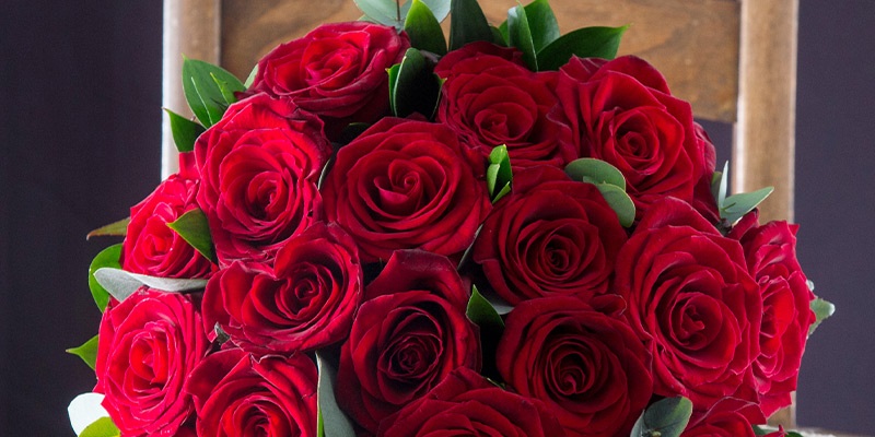 Why are roses the ones used to declare love?